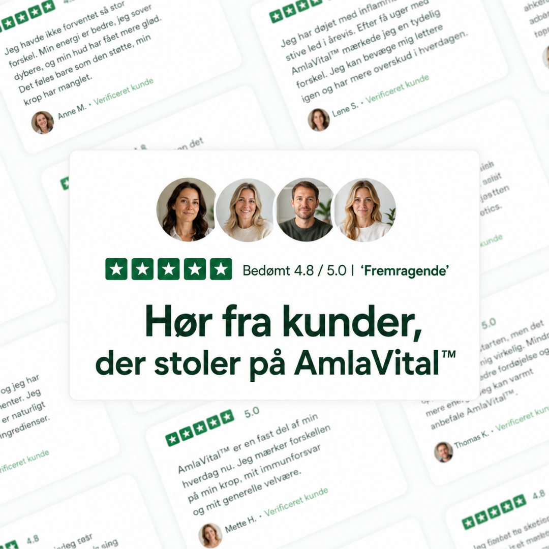 AmlaVital™ - Blood Flow & Vessel Support