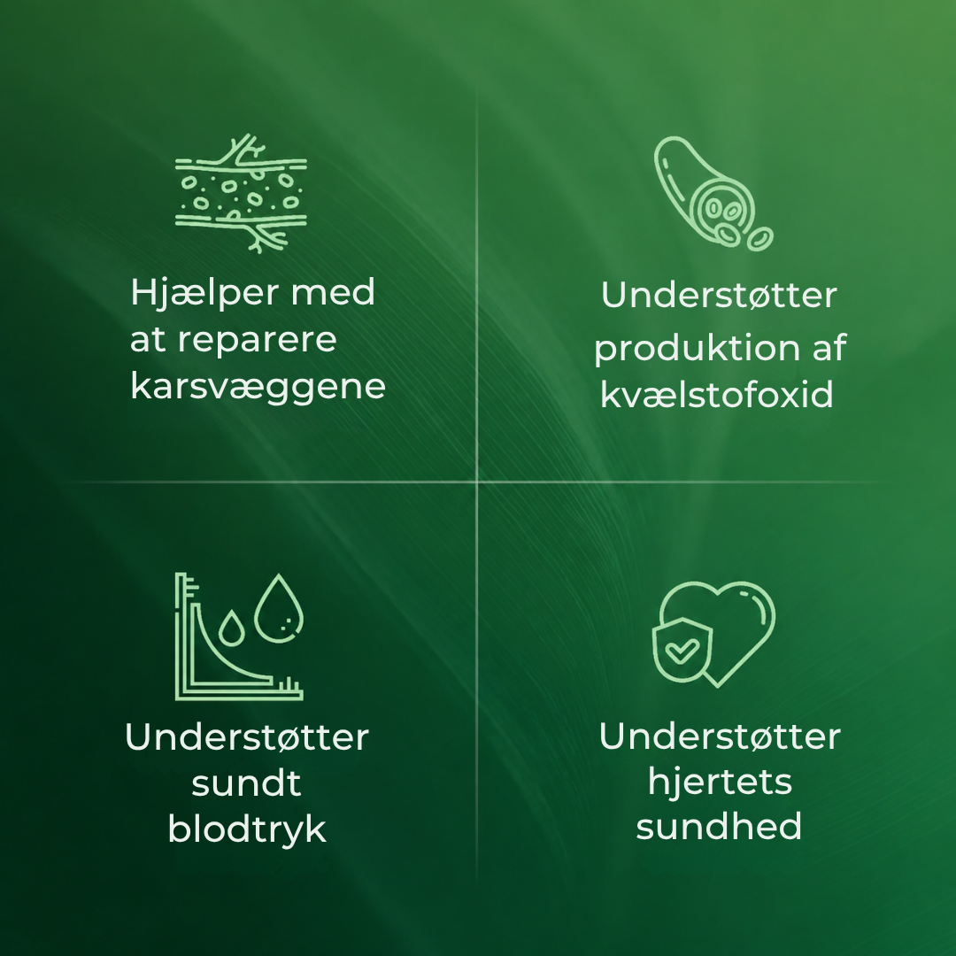 AmlaVital™ - Blood Flow & Vessel Support