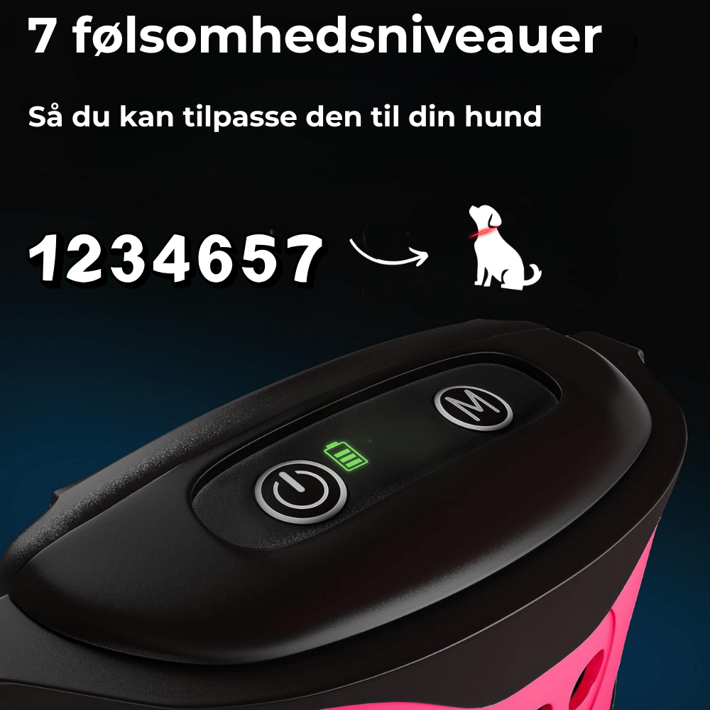 StilleHund™ - Skånsom Træning uden Stød