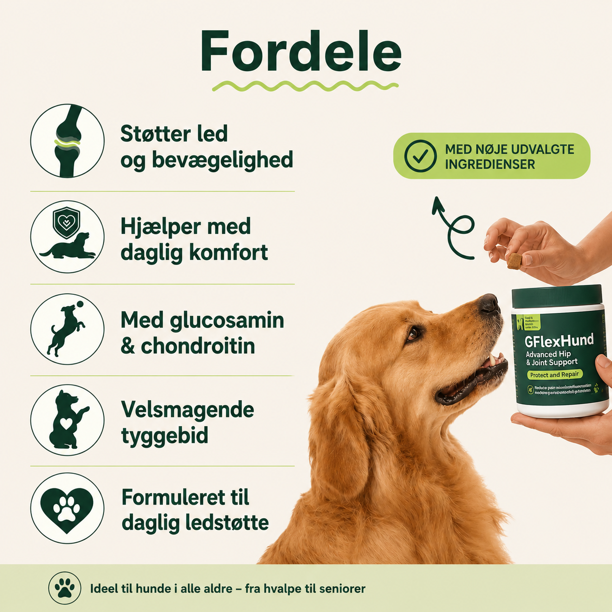 FlexHund™ – Velsmagende Ledsnacks med Glucosamin & Grønlæbet Musling