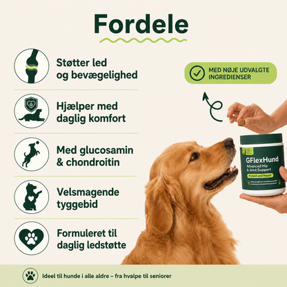 FlexHund™ – Velsmagende Ledsnacks med Glucosamin & Grønlæbet Musling