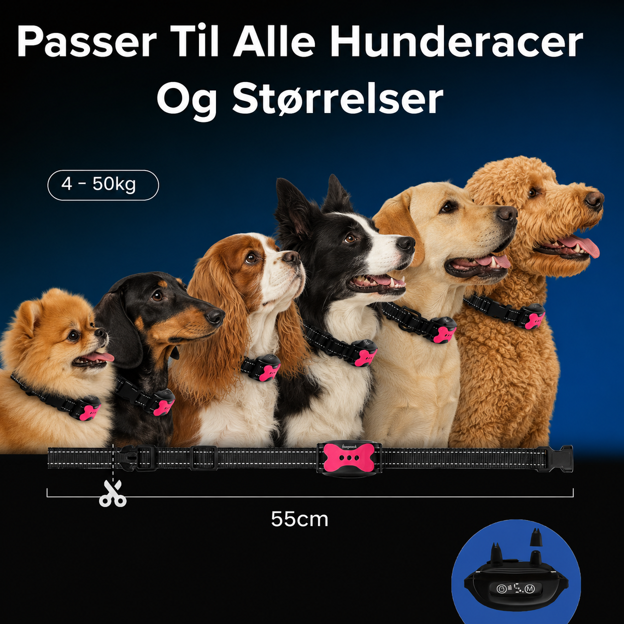 StilleHund™ - Skånsom Træning uden Stød