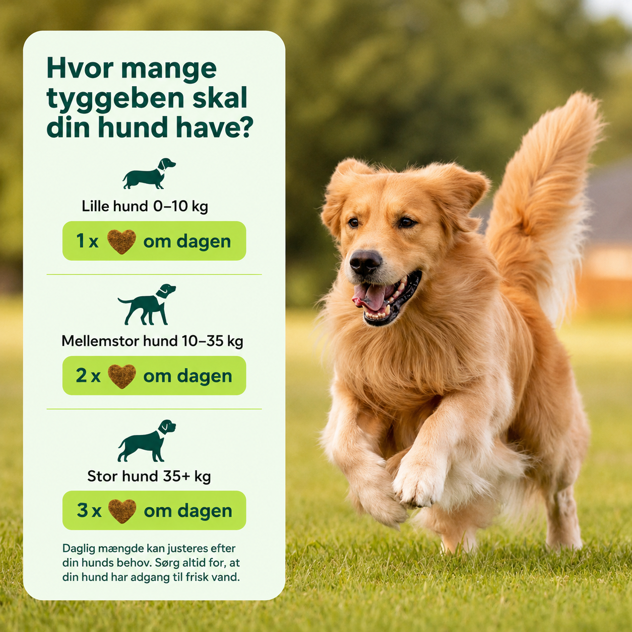 FlexHund™ – Velsmagende Ledsnacks med Glucosamin & Grønlæbet Musling
