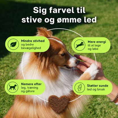 FlexHund™ – Velsmagende Ledsnacks med Glucosamin & Grønlæbet Musling