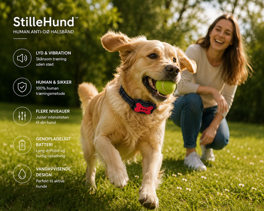 StilleHund™ - Skånsom Træning uden Stød