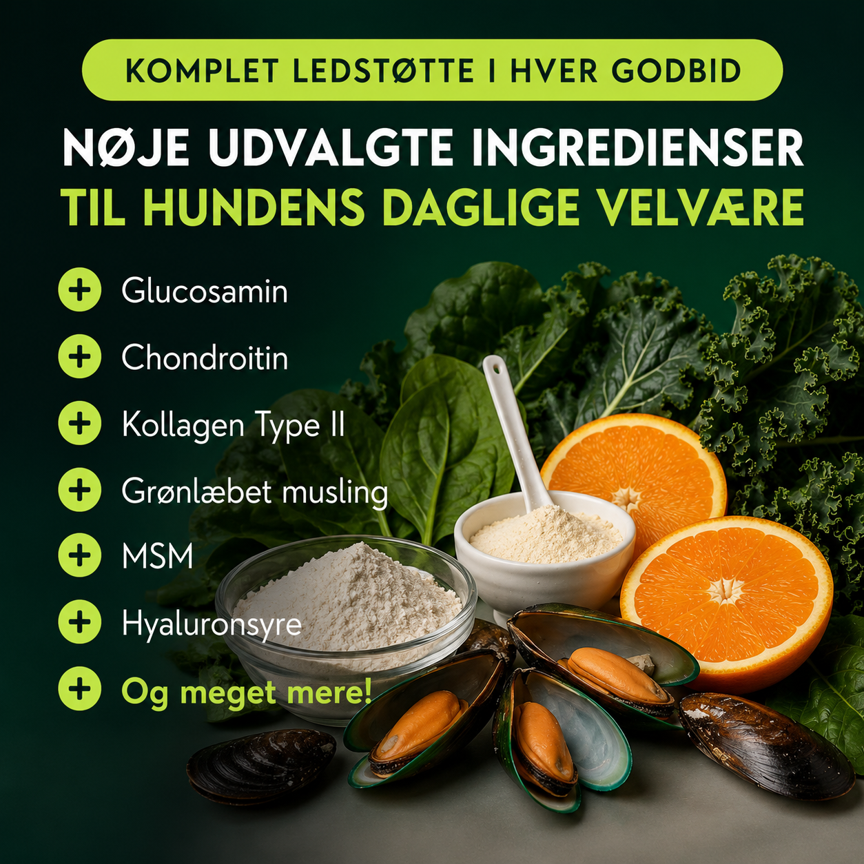 FlexHund™ – Velsmagende Ledsnacks med Glucosamin & Grønlæbet Musling