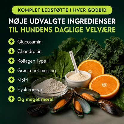 FlexHund™ – Velsmagende Ledsnacks med Glucosamin & Grønlæbet Musling