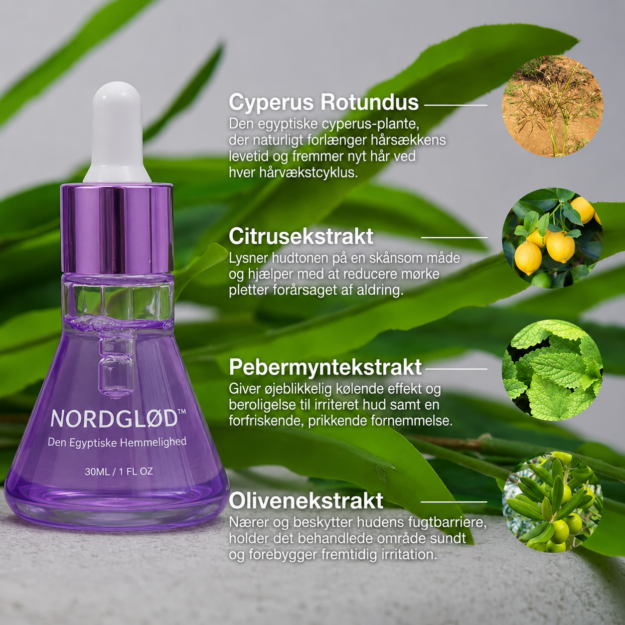 NordGlød™ Cyperus Hudserum