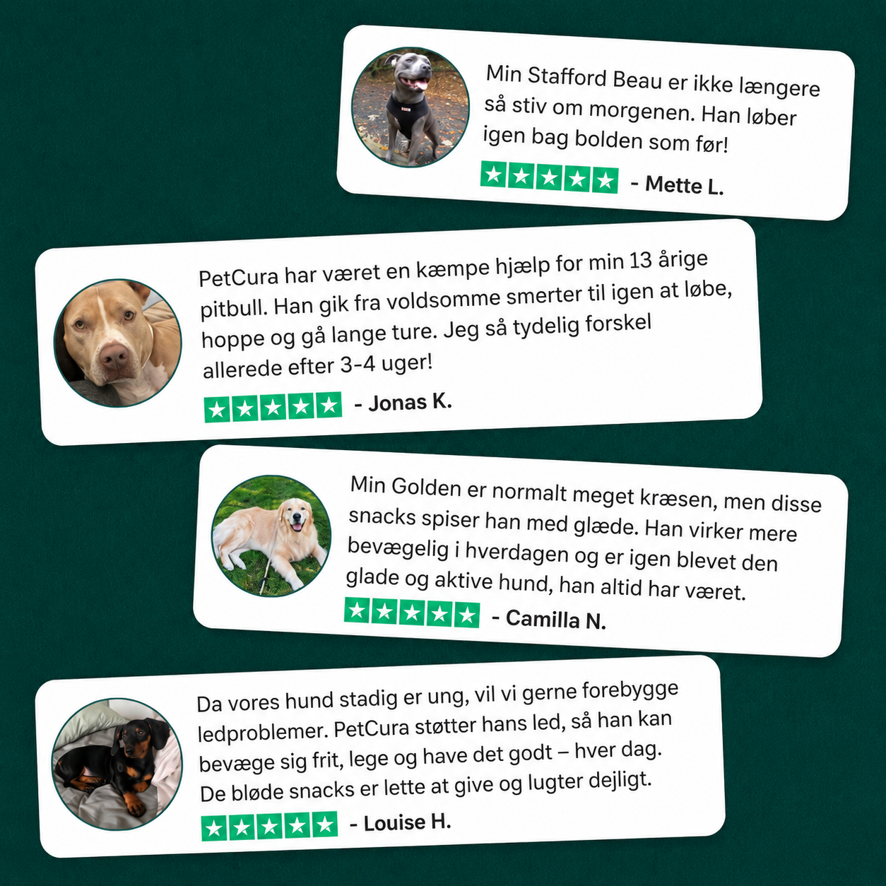 FlexHund™ – Velsmagende Ledsnacks med Glucosamin & Grønlæbet Musling
