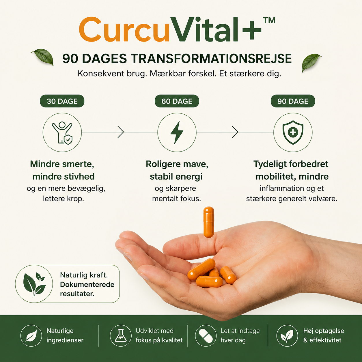 CurcuVital+™ 95 Curcumin Formula 1000mg