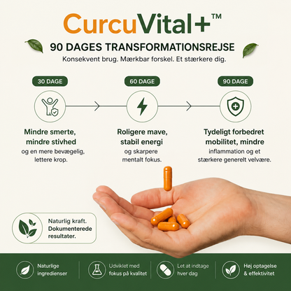 CurcuVital+™ 95 Curcumin Formula 1000mg