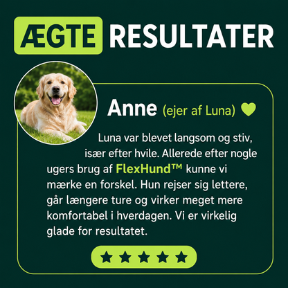 FlexHund™ – Velsmagende Ledsnacks med Glucosamin & Grønlæbet Musling